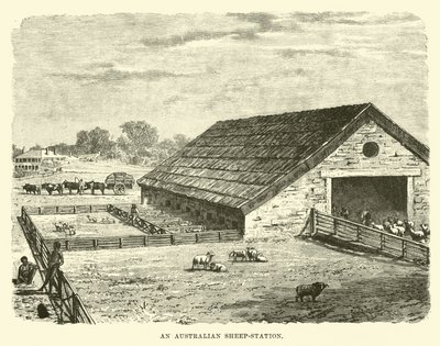 An Australian Sheep-Station by English School