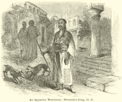 An Egyptian Watchman, Solomon