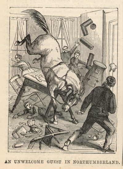 An Unwelcome Guest in Northumberland by English School