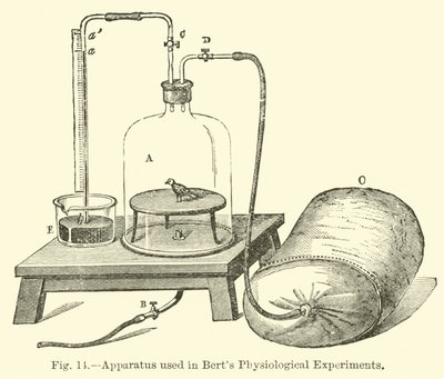 Apparatus used in Bert