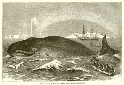Attacking a Whale with the Hand Harpoon by English School
