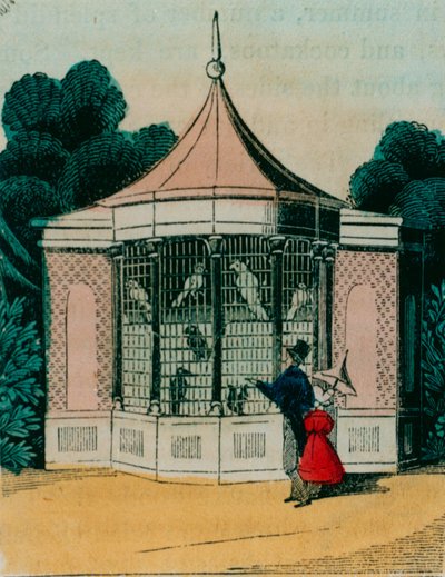 Aviary for parrots and cockatoos at the London zoo. 1840s by English School
