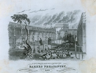Bakers Pheasantry, Chelsea by English School