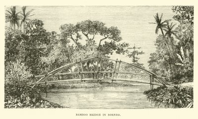 Bamboo Bridge in Borneo by English School