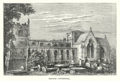 Bangor Cathedral by English School