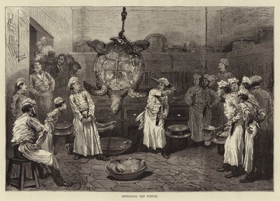 Beheading the Turtle by English School