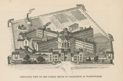 Birds Eye View of the Surrey House of Correction by English School