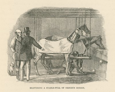 Blistering a Stable-Full of Omnibus Horses by English School