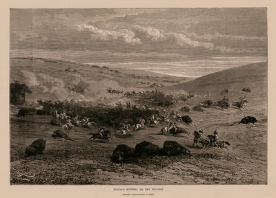 Buffalo Hunting on the Prairies by English School