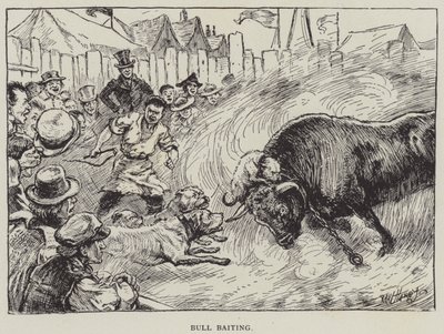 Bull Baiting by English School