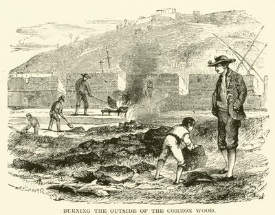 Burning the Outside of the Common Wood by English School
