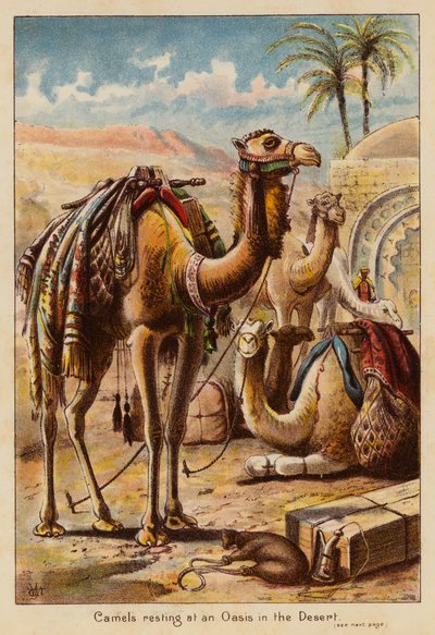 Camels resting at an Oasis in the Desert by English School