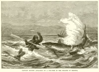 Captain Boyton Attacked by a Dog-Fish in the Straits of Messina by English School