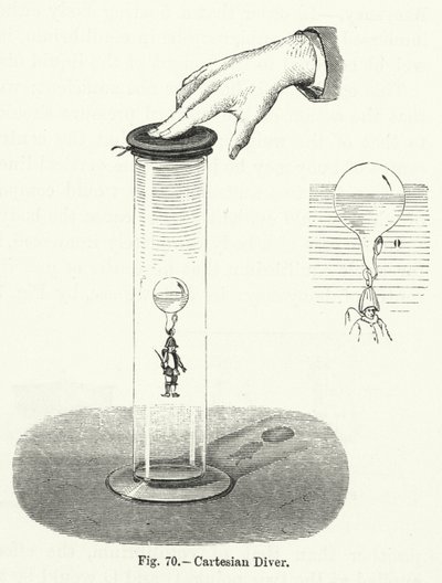 Cartesian Diver by English School