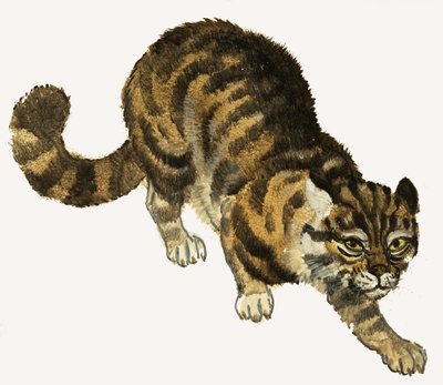 Cat by English School