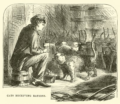 Cats Receiving Rations by English School