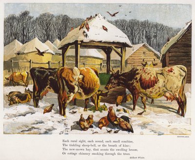Cattle and chickens in a snowy farmyard by English School