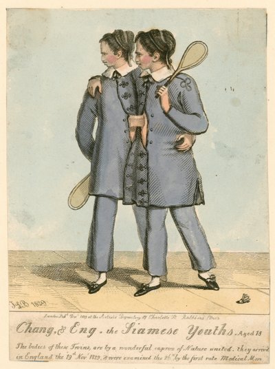 Chang and Eng, the Siamese Youths, aged 18 by English School
