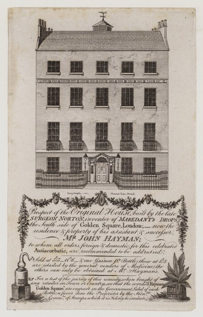 Chemists and Druggists, Mr John Hayman by English School