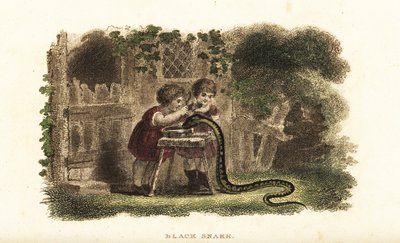 Children using spoons to hit the head of a black snake that is greedily drinking from a saucer of milk by English School