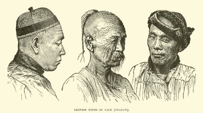 Chinese Types of Face, Swatow by English School