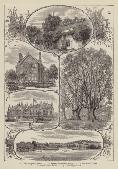 Chingford by English School