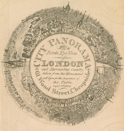 City Panorama, a Bird