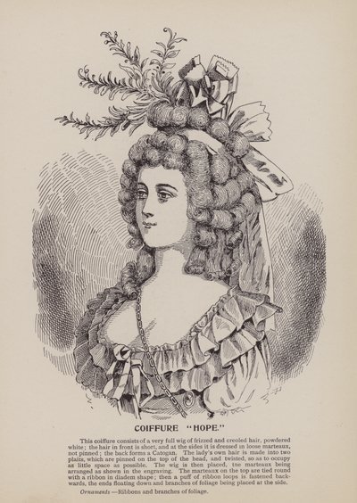 Hairstyle 