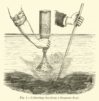 Collecting Gas from a Stagnant Pool by English School