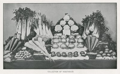 Collection of Vegetables by English School