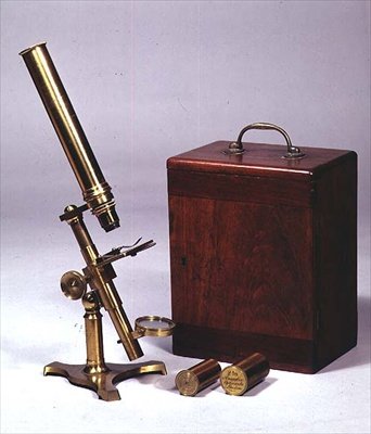 Compound monocular microscope, made by Amadio Optician, London, c.1860 by English School