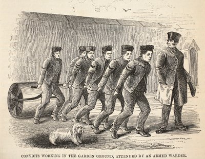Convicts working in the garden ground, attended by an armed warder, illustration from The Criminal Prisons of London and Scenes from Prison Life by Henry Mayhew and John Binny, published 1862 by English School