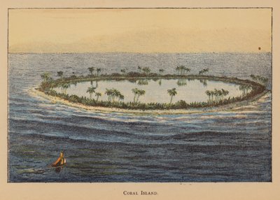 Coral Island by English School
