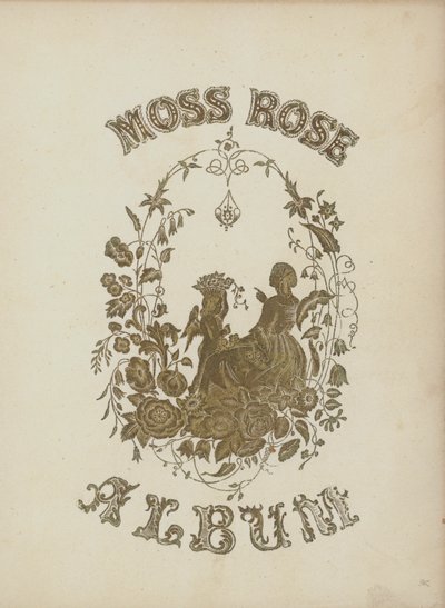 Cover illustration for Moss Rose Album by English School