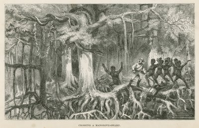 Crossing a mangrove swamp by English School