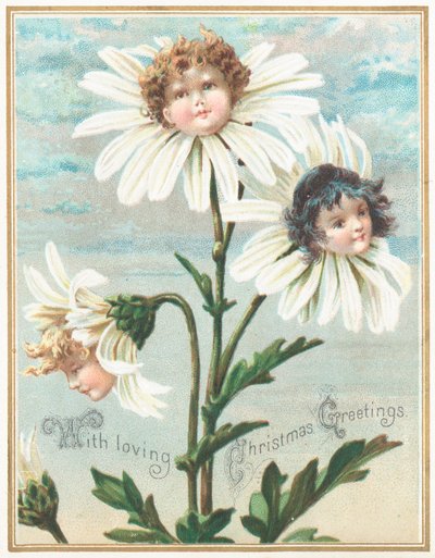 Daisies with Faces! by English School