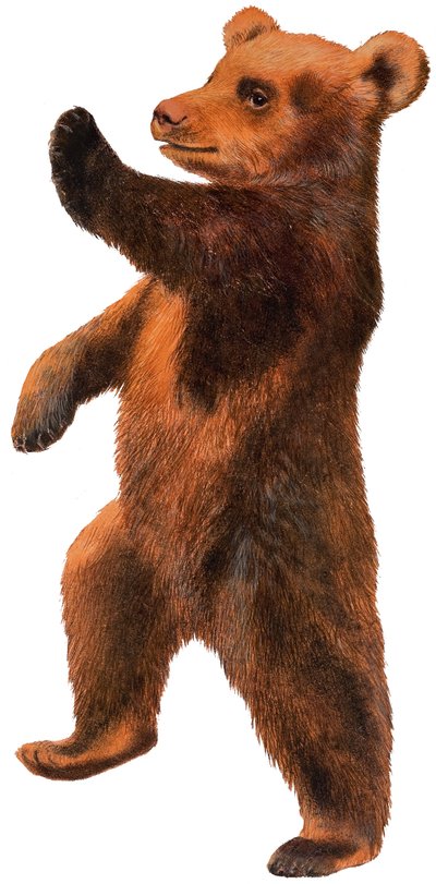 Dancing Bear by English School
