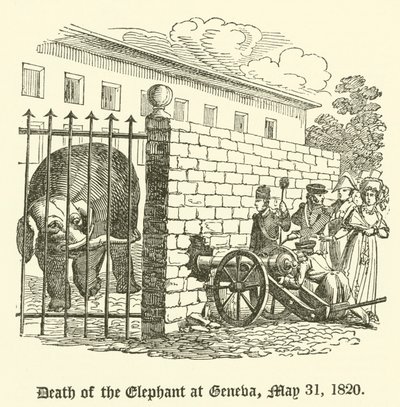 Death of the Elephant at Geneva, 31 May 1820 by English School
