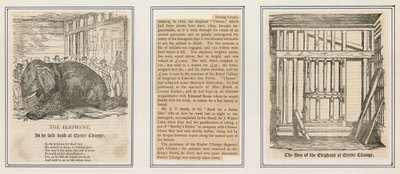 Death of the elephant at Exeter Change by English School