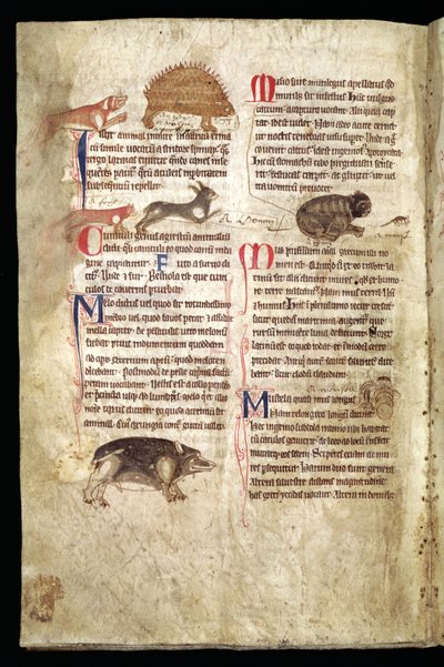 Animals Chasing Each Other, English Bestiary, Early 13th Century by English School