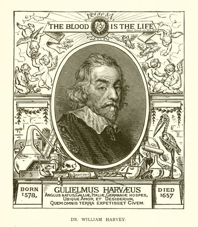 Dr. William Harvey by English School