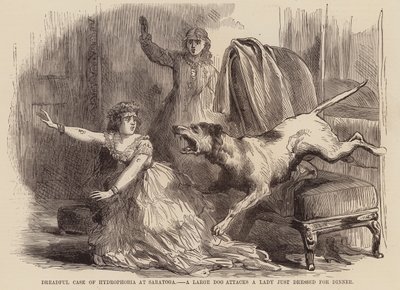Dreadful case of hydrophobia at Saratoga, a large dog attacks a lady just dressed for dinner by English School