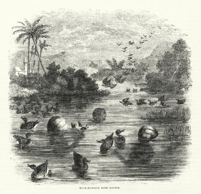 Duck-Hunting with Gourds by English School