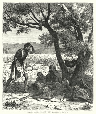 Eastern Reapers Reposing During the Heat of the Day (engraving) by English School