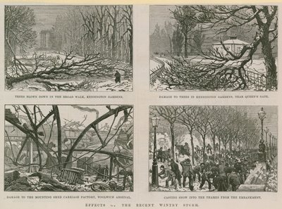 Effects of the Recent Wintry Storm by English School