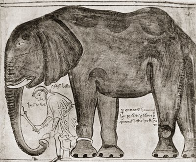 Elephant sent by St Louis to Henry III, from 