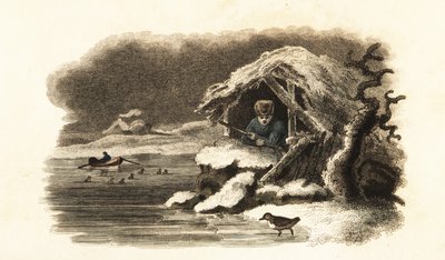 European Water Ouzel Walking into Lake Nantua, France, and Continuing Submerged on the Bottom of the Lake in a Bubble of Air by English School