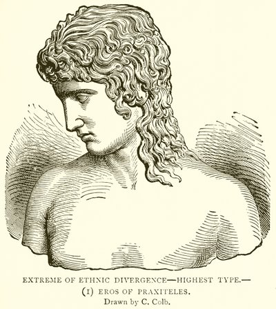 Extreme of Ethnic Divergence--Highest Type (Eros of Praxiteles) by English School