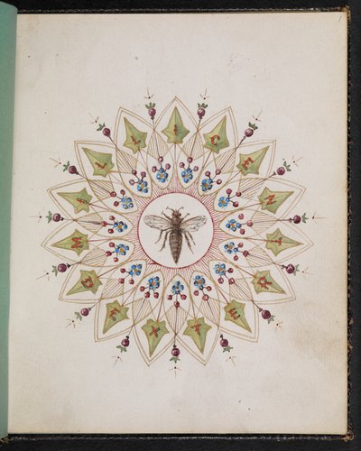 F.1: Insect within a design. Sketch book with scenes from Charles Dickens stories by English School