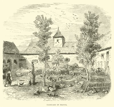 Farmyard in France by English School